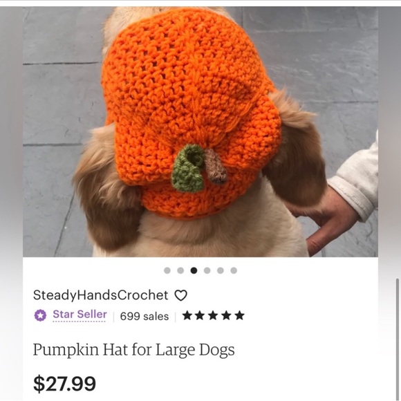 NWOT Handmade Pumpkin Dog Hat - Picture 3 of 3